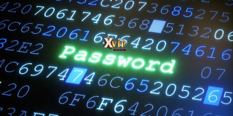 Mọi vấn đề cần giải quyết liên hệ với đội ngũ nhân viên để được hỗ trợ