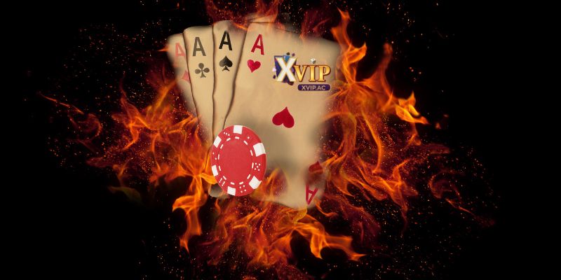 Tại Xvip luôn có chính sách hạn chế rõ ràng, minh bạch