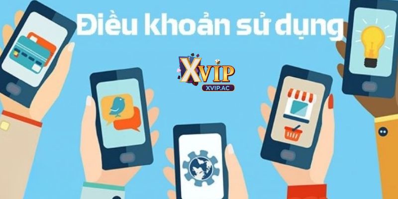 Xvip cũng đưa ra những chính sách bảo mật thông tin người dùng rõ ràng