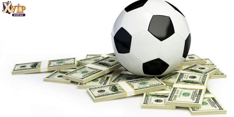 Nếu trận đấu bị hoãn hoặc hủy thì cược xiên sẽ được hủy