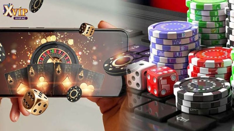 Xvip tạo ra một sân chơi công bằng, có đầy đủ giấy phép