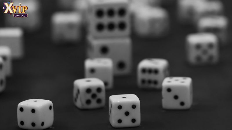 Người chơi cần phải nắm được quy luật tài xỉu Xvip